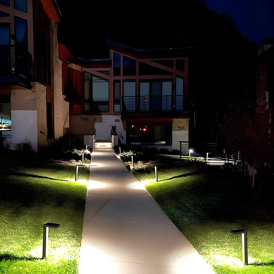 Illuminating the Quiet Corners of Nature